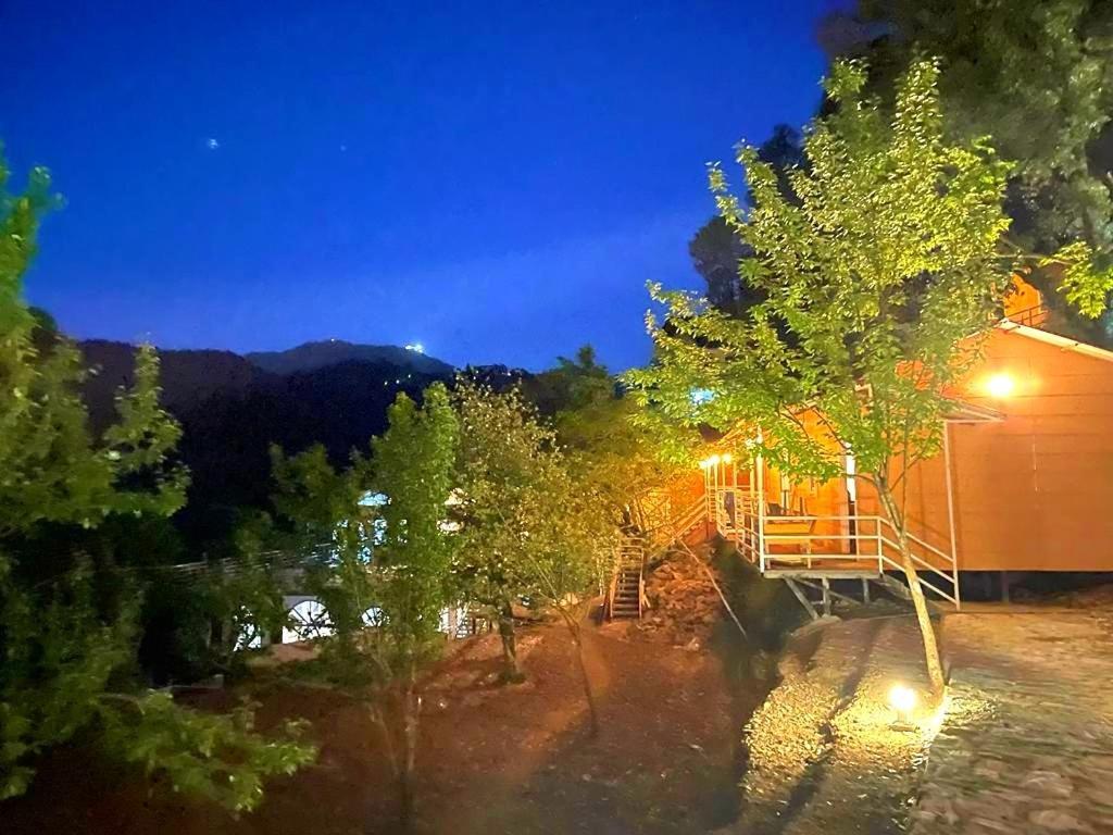 Aaroham Resort, Shimla Bagian luar foto