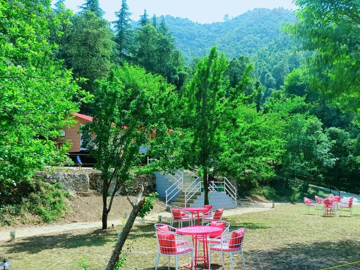 Aaroham Resort, Shimla Bagian luar foto